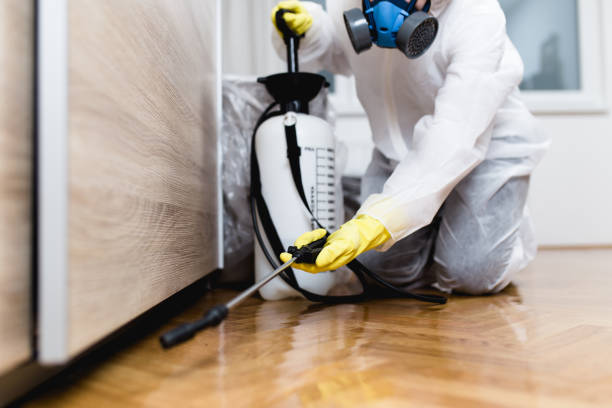 Best Commercial Pest Control Services  in Laredo, TX