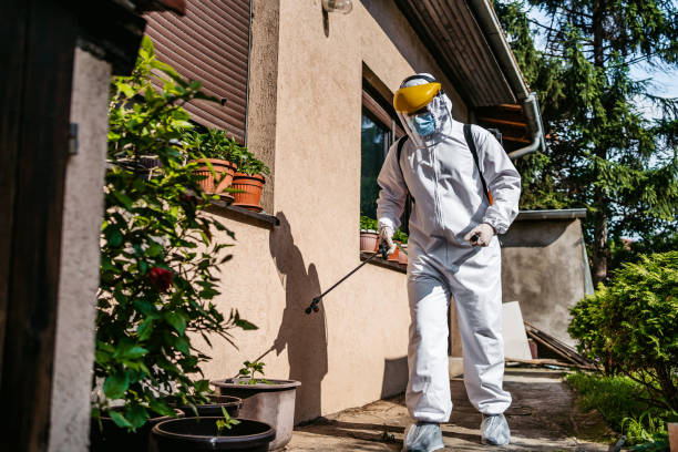 Best Mosquito Control Services  in Laredo, TX
