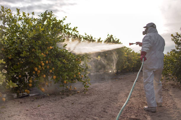 Best Pest Inspection Near Me  in Laredo, TX