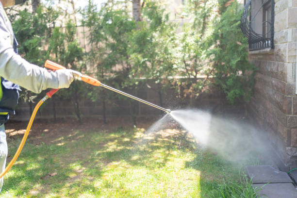 Best Local Pest Control Services  in Laredo, TX