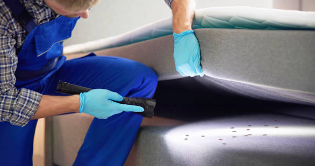 Best Residential Pest Control  in Laredo, TX