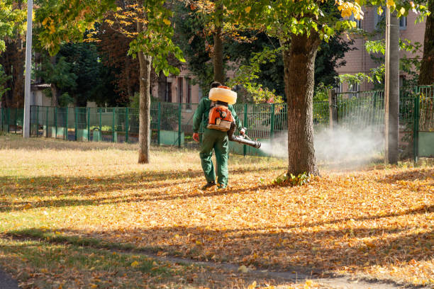 Pest Control Cost in Laredo, TX